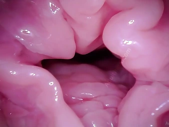 Watch Increase e inflate Coaster's Labia get a camera to POV - A hymen fetish video!